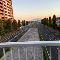 画像253
