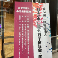 画像255