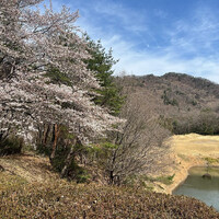 画像332