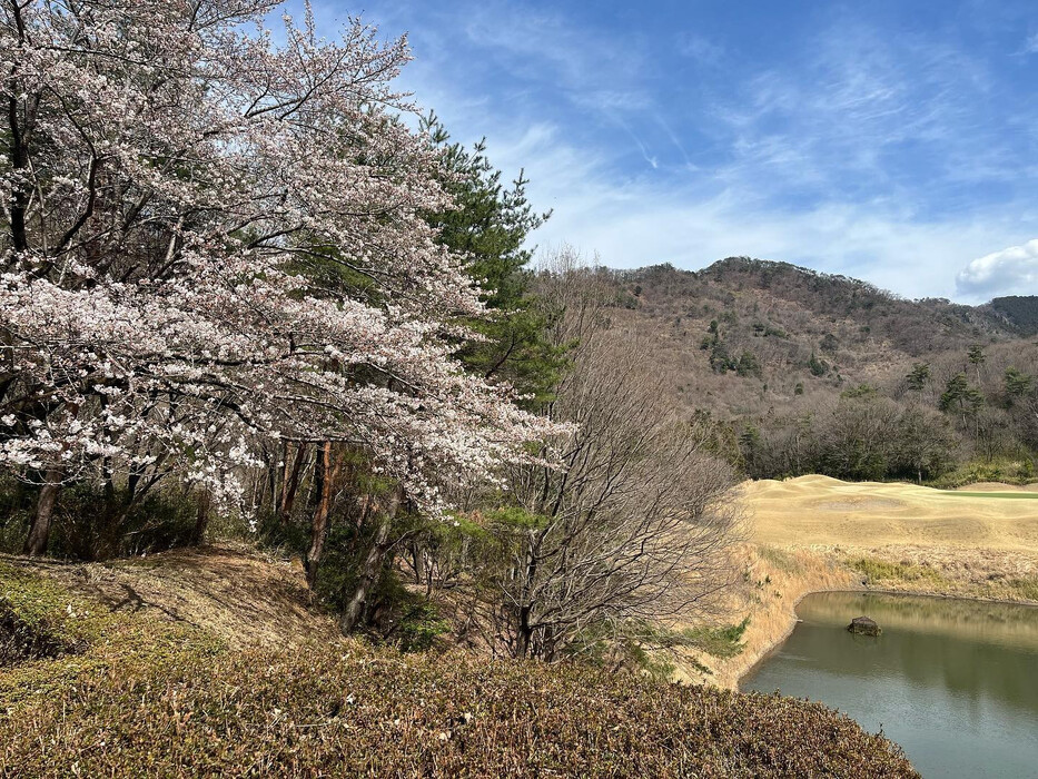 画像332