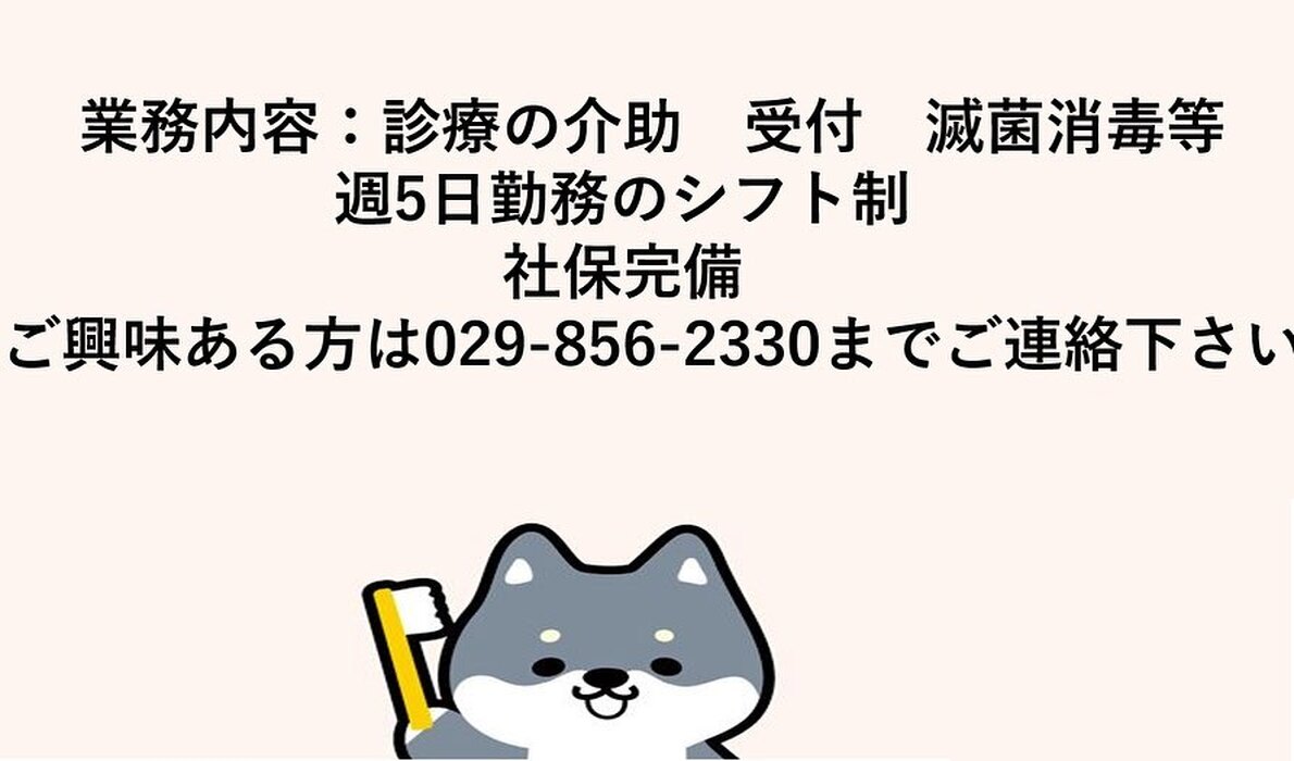 画像384